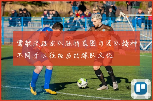 莺歌谈猛龙队独特氛围与团队精神不同于以往经历的球队文化